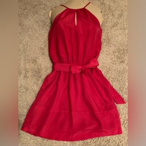 Express Pink Dress